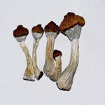 Old Dirty Penis Envy - raw